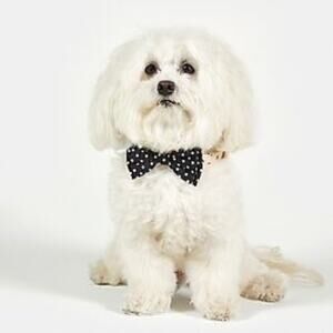 ❤️NWT❤️ Pet Bow Ties - Black Polka Dot